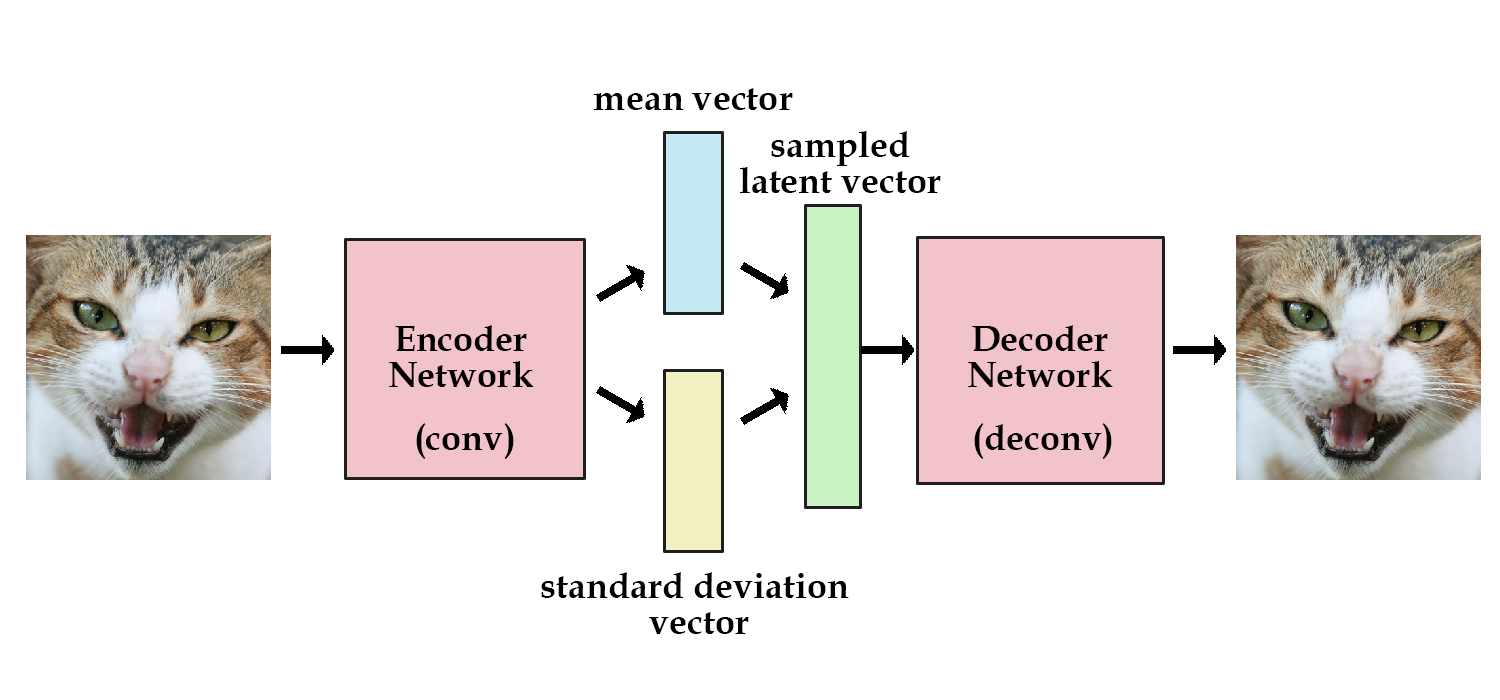 VAE structure